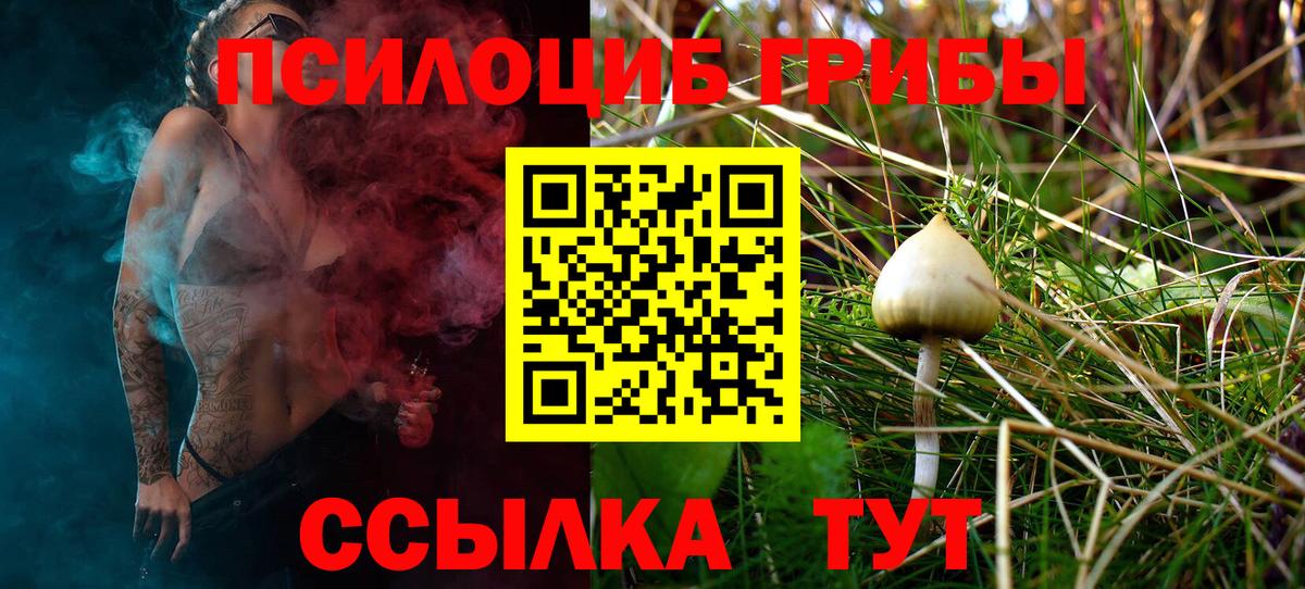 Псилоцибиновые грибы Magic Shrooms Майский